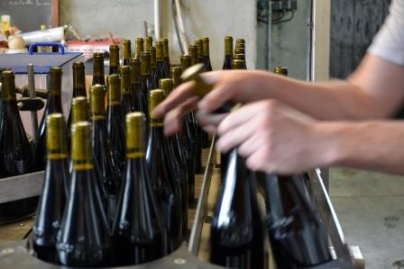 Gamay de Savoie 2016